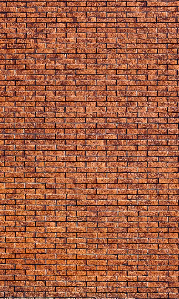 Mur de briques rouges montées en panneresse, joints clairs