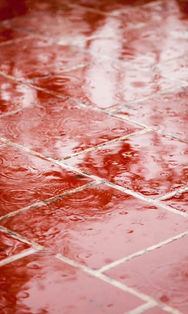 Carreaux rouges d’une terrasse mouillés par la pluie, reflets et joints clairs
